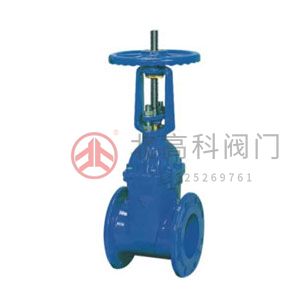 Z45X-10、Z45X-16 彈性座封閘閥